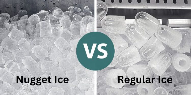 What is the Difference Between Nugget Ice and Regular Ice Cubes?